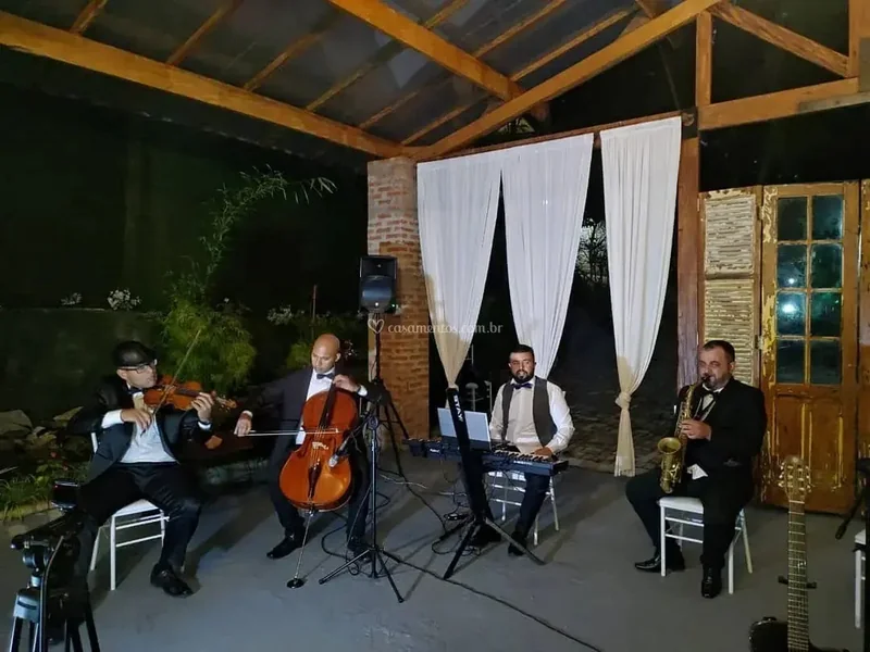 Bandas E Músicos