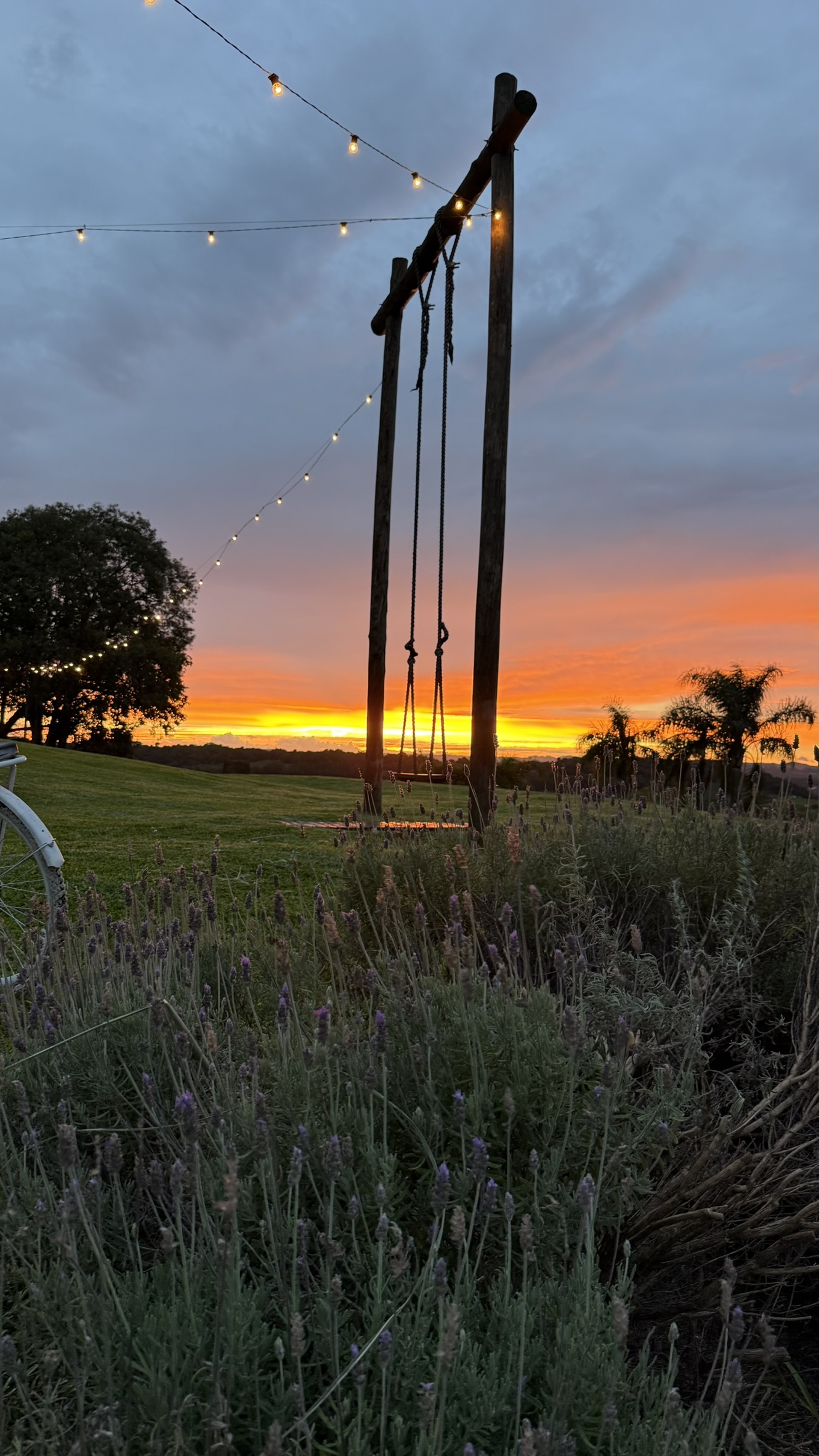 LAVANDÁRIO REFÚGIO DO SOL